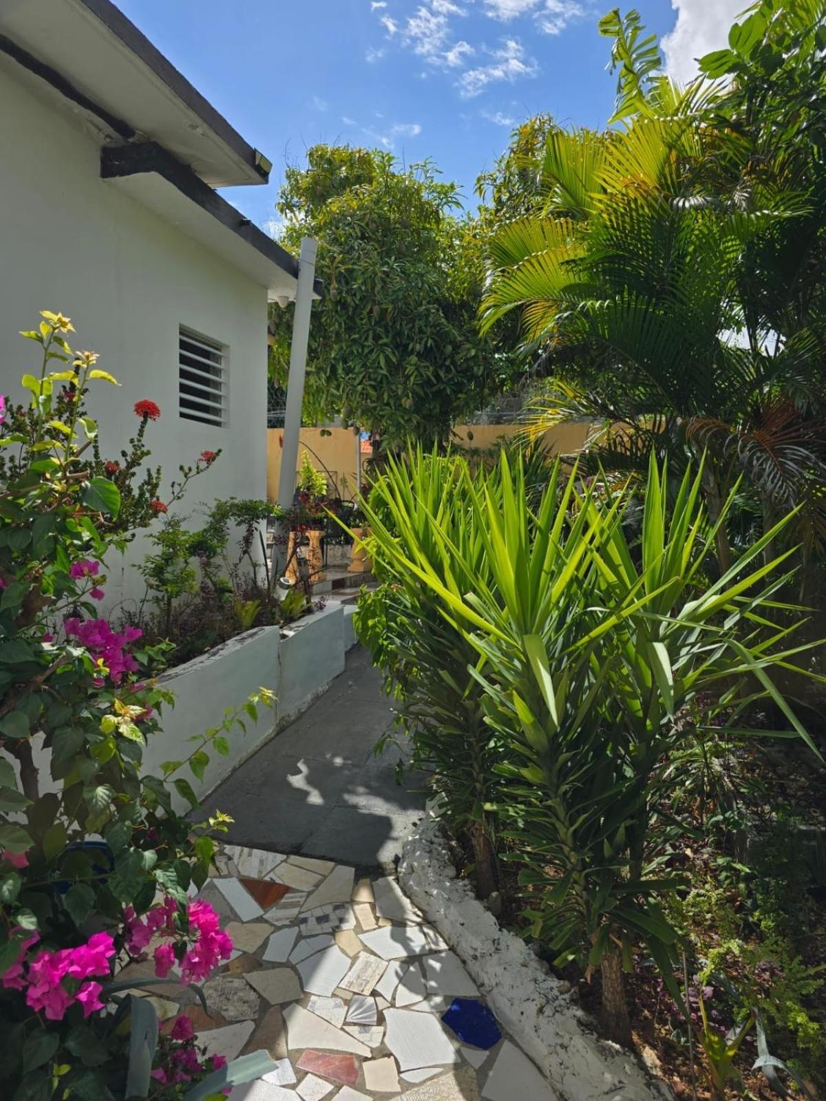 Paradise Palms Jamaica Vacation Rental 蒙特哥贝 外观 照片