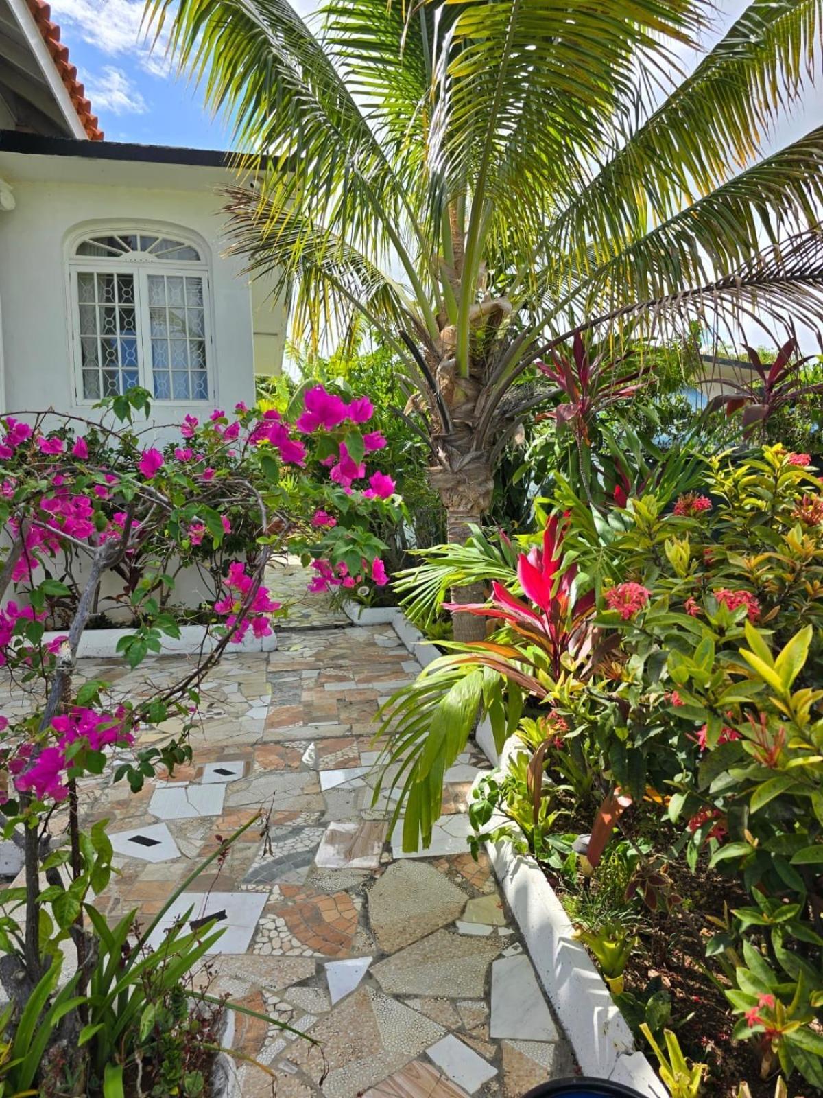 Paradise Palms Jamaica Vacation Rental 蒙特哥贝 外观 照片